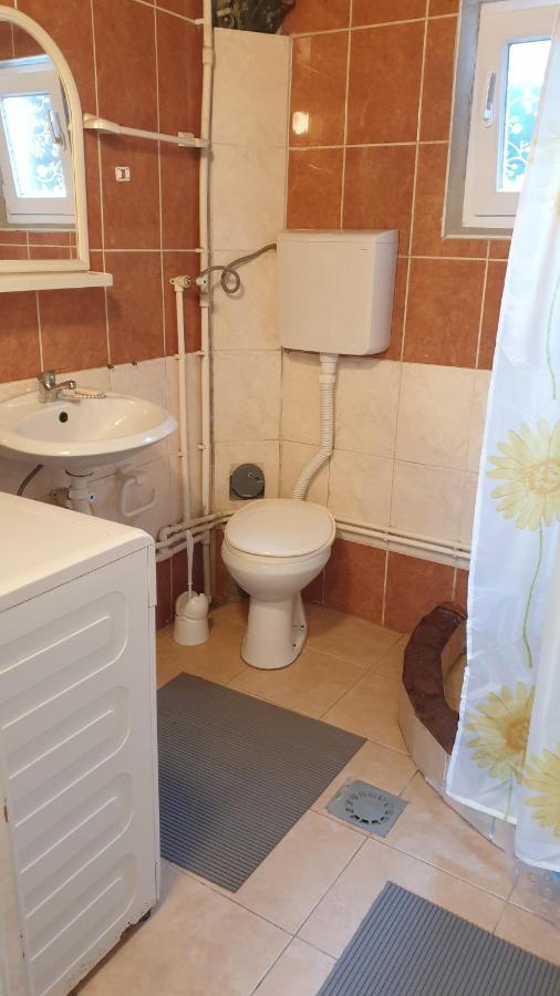 Apartman Sava Ni Buitenkant foto
